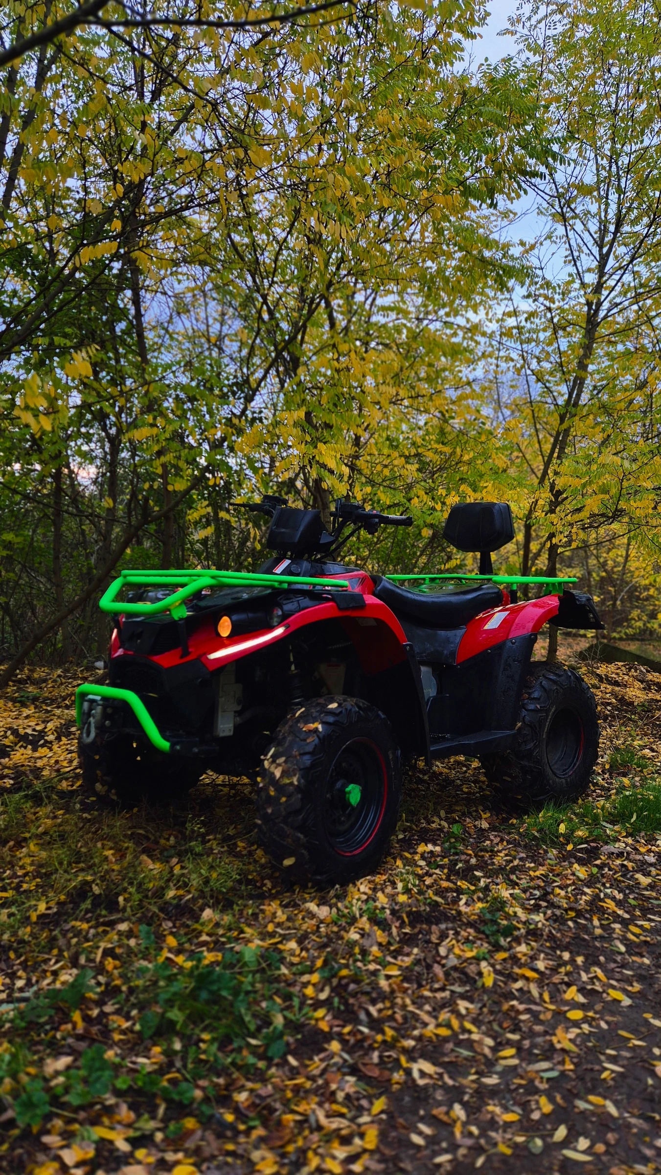 Linhai 300 Yamaha | Mobile.bg   1