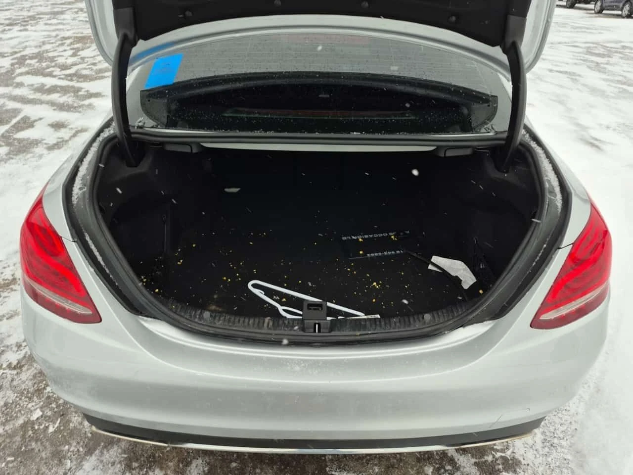 Mercedes-Benz C 300 PANO| ПАМЕТ| 2 KЛЮЧА| CARFAX| , снимка 5 - Автомобили и джипове - 53962438