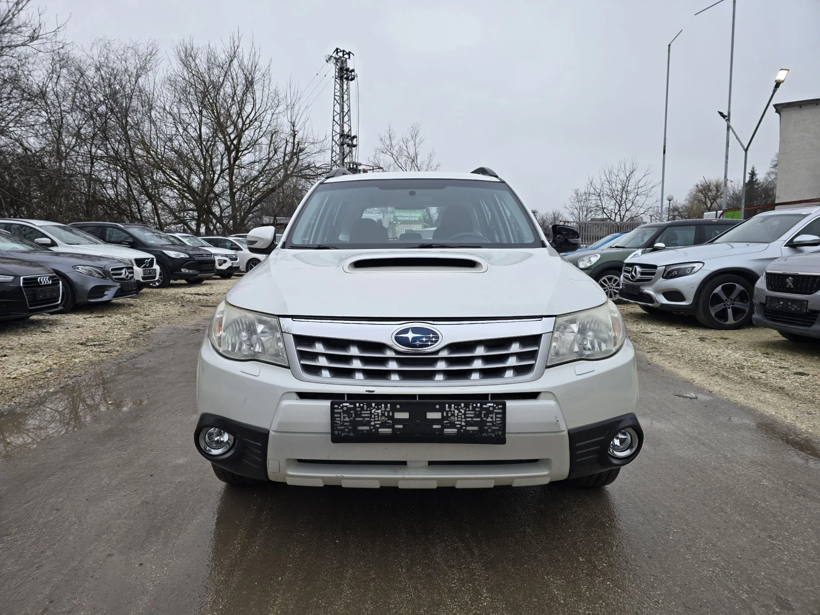 Subaru Forester 2.0d 147к.с 4х4  - изображение 5