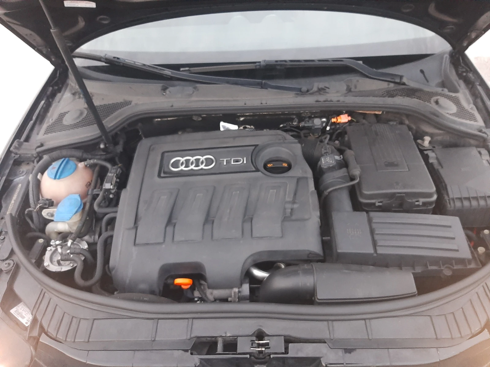 Audi A3 1.6TDI S-Line | Mobile.bg   17