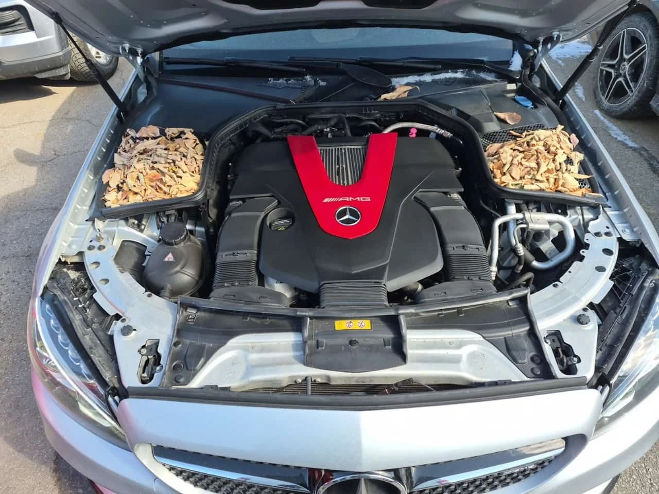 Mercedes-Benz C 43 AMG * ��������* * ������ �� �����* * ��������*  | Mobile.bg � ����������� 15