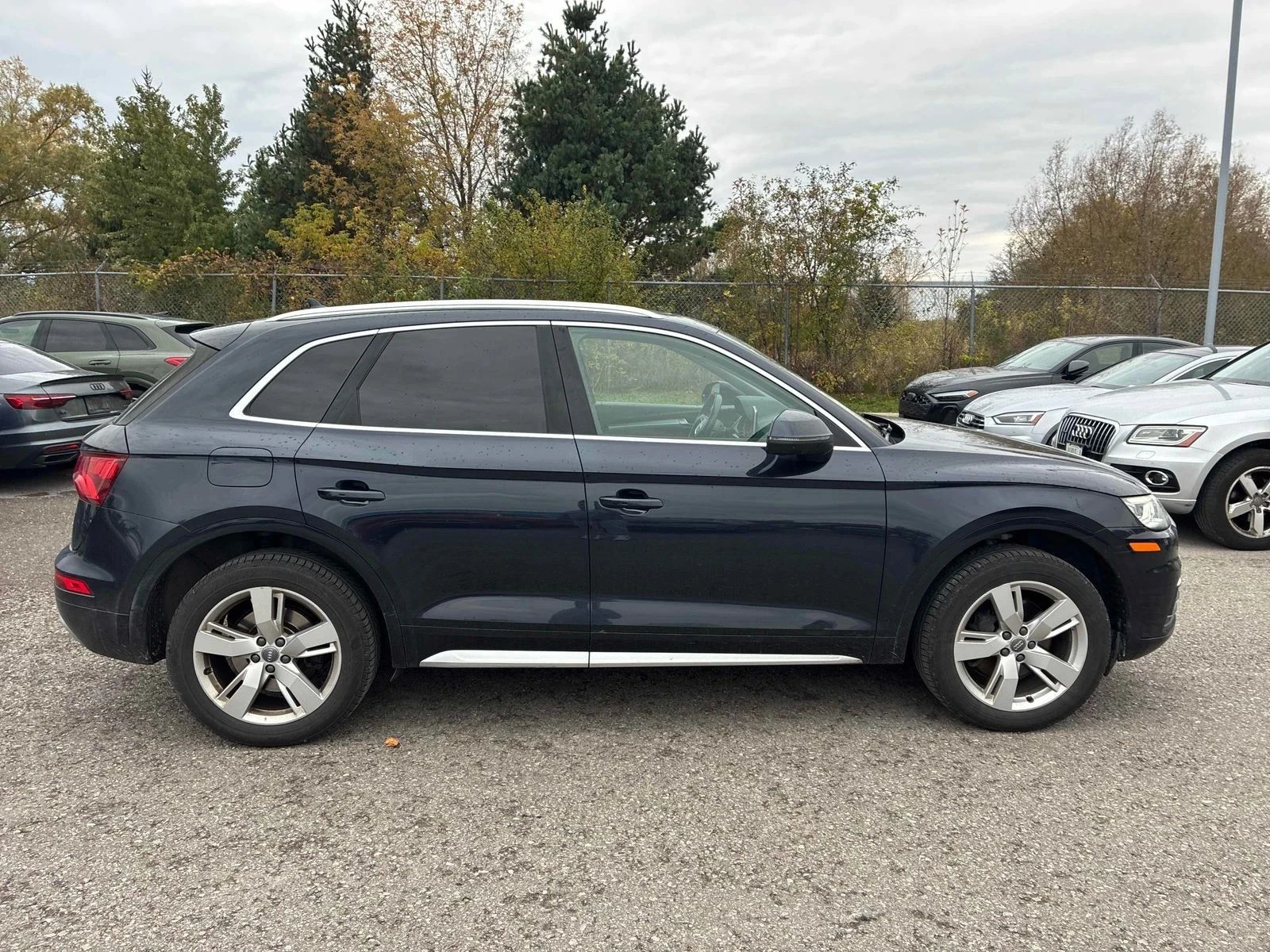 Audi Q5, снимка 2 - Автомобили и джипове - 56739671
