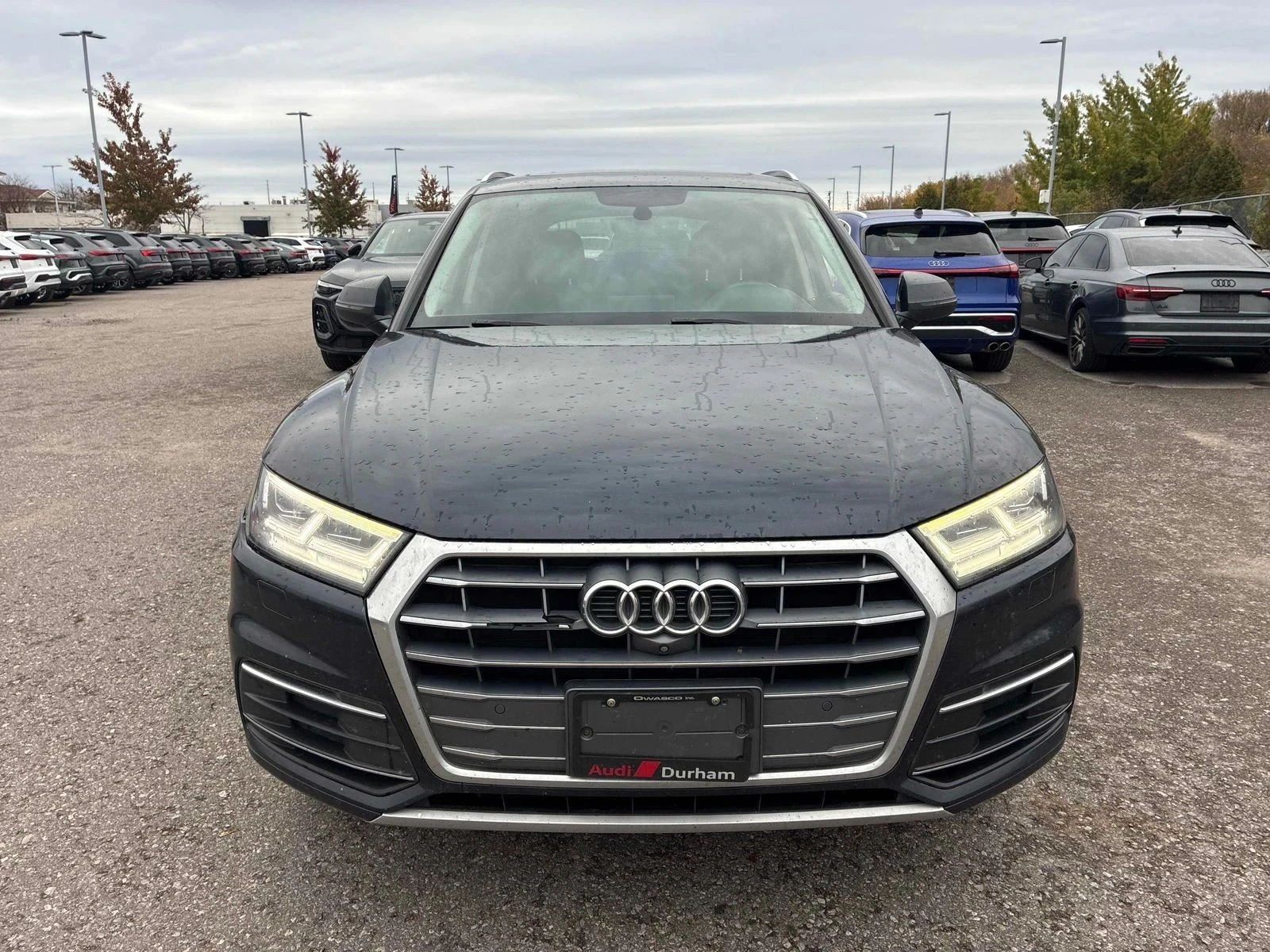 Audi Q5, снимка 3 - Автомобили и джипове - 56739671