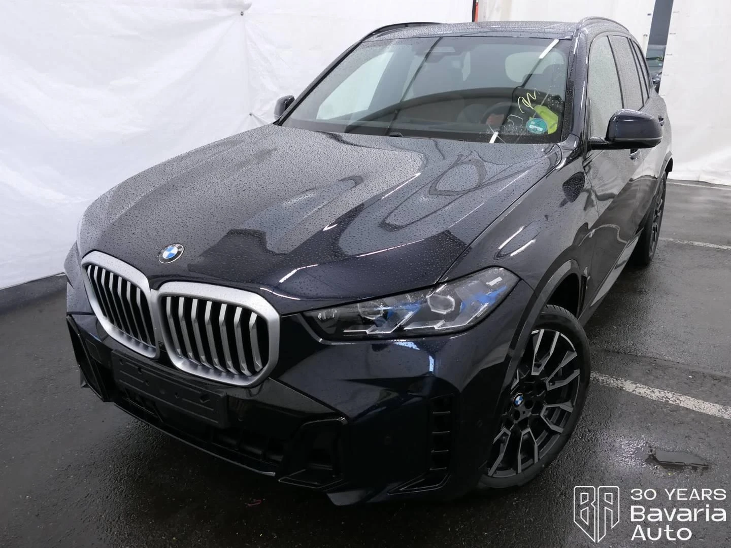 BMW X5 30d xDrive Sportautomatic