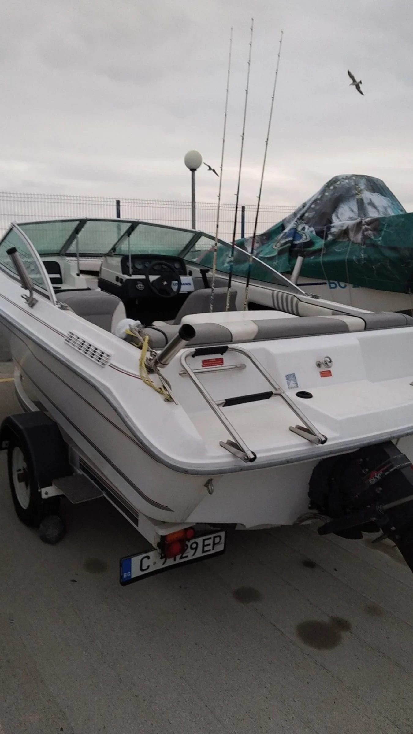   Sea Ray | Mobile.bg   15