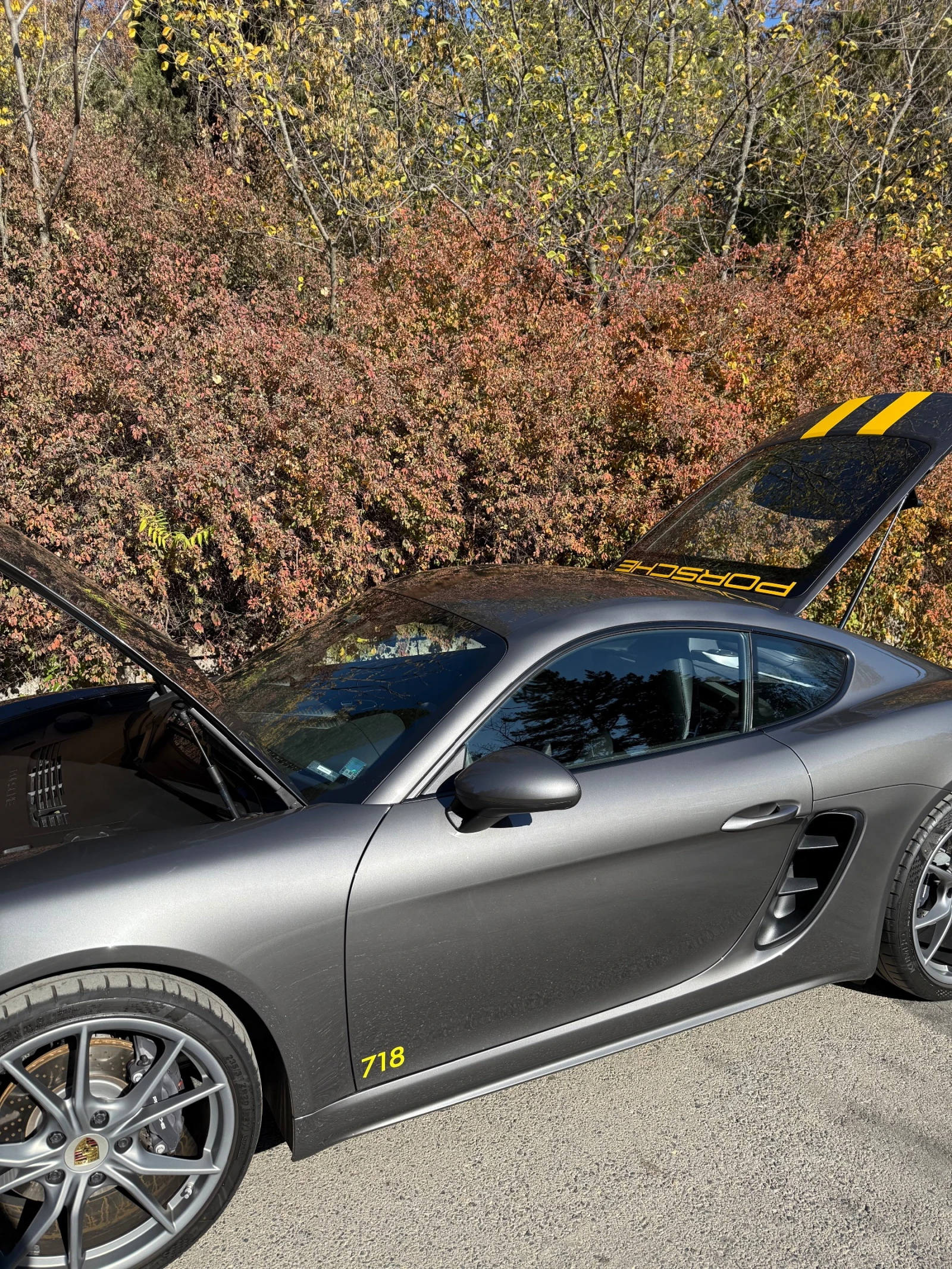 Porsche Cayman | Mobile.bg   12