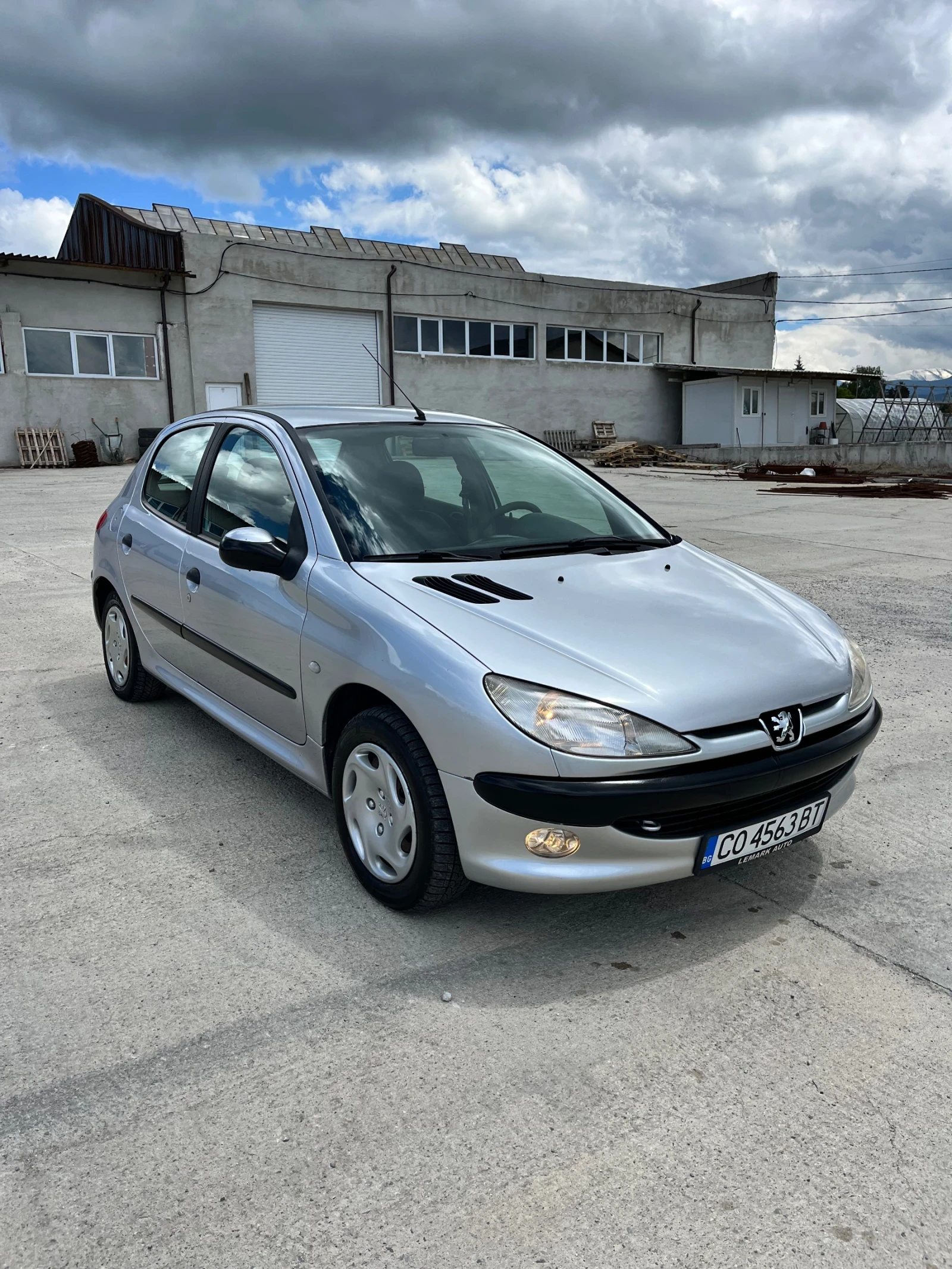Peugeot 206 1.9 дизел