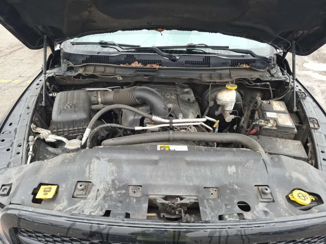Dodge RAM 1500 * 4x4 Crew Cab 5'7" Box Express Crew Cab  | Mobile.bg � ����������� 17