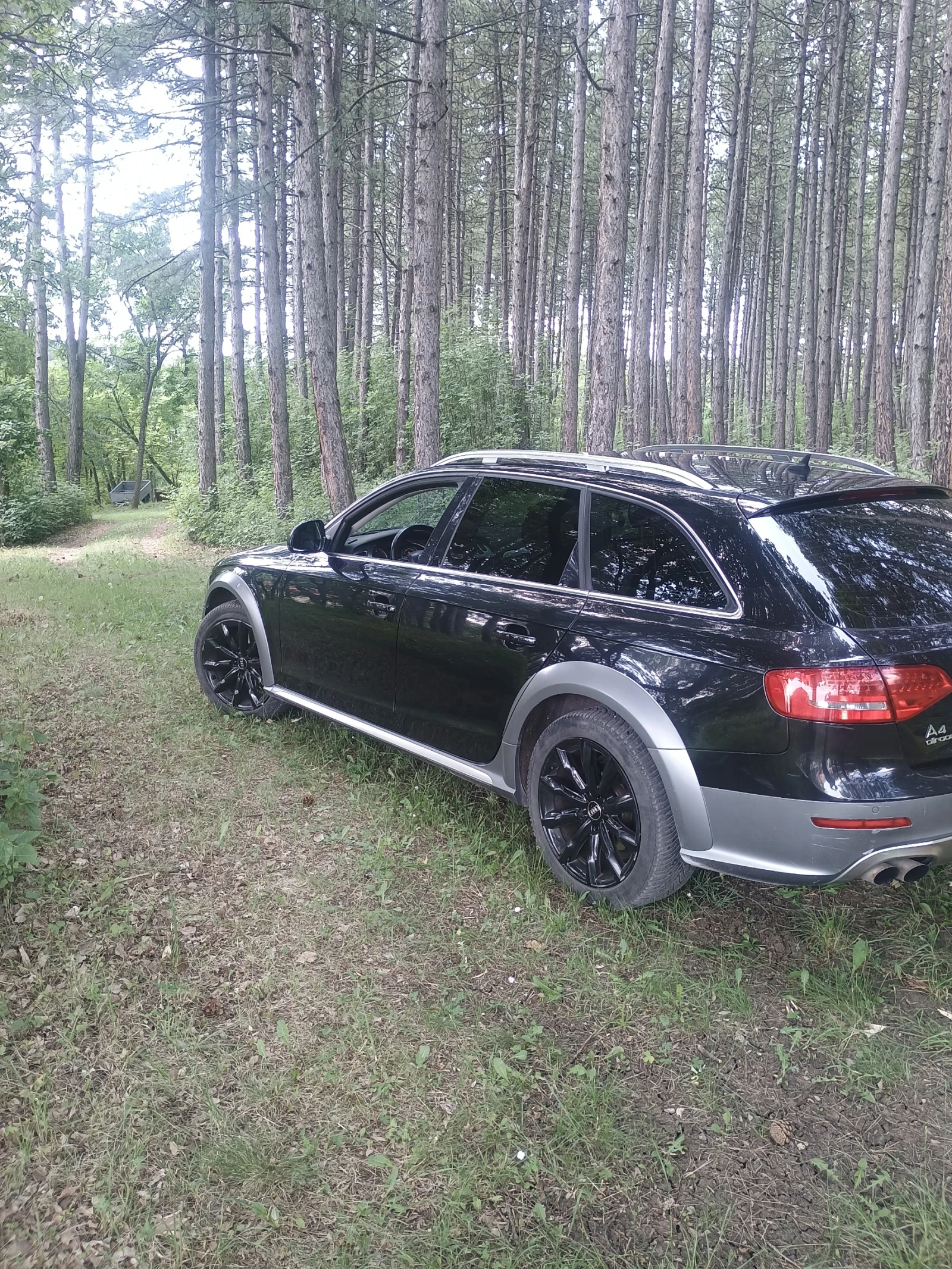 Audi A4 Allroad  - изображение 5