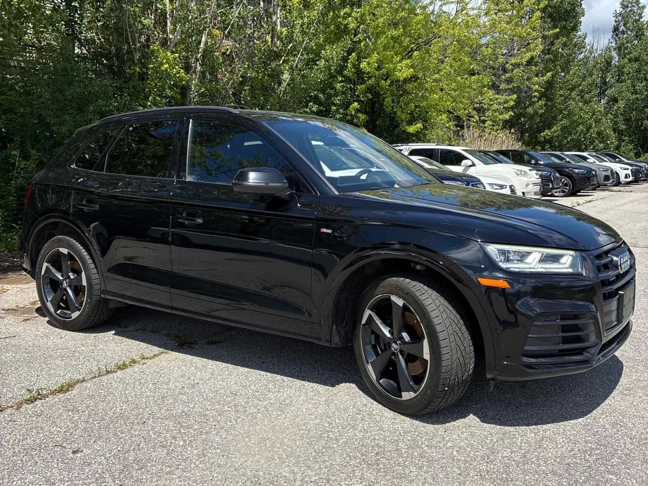 Audi Q5 | Progressiv | ПАНОРАМА | CARFAX | MATRIX | , снимка 3 - Автомобили и джипове - 54981286