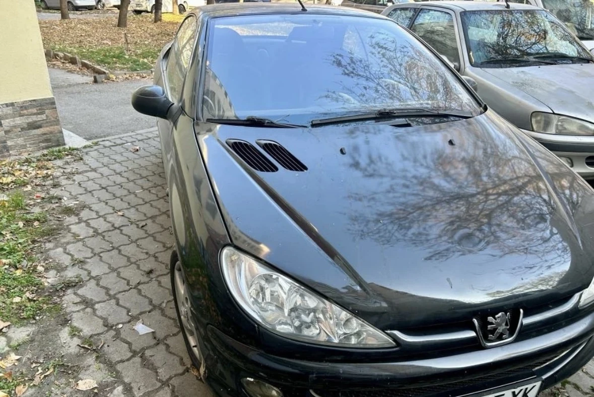 Peugeot 206  - изображение 2