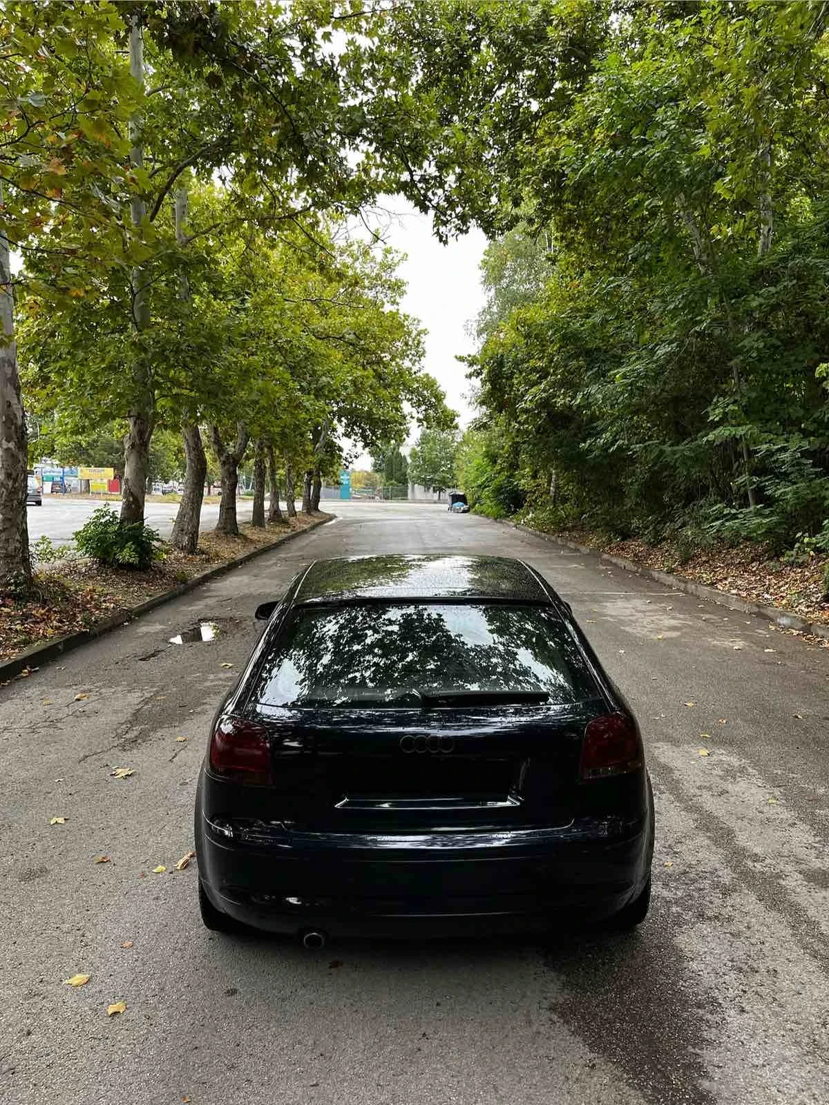 Audi A3  - изображение 3