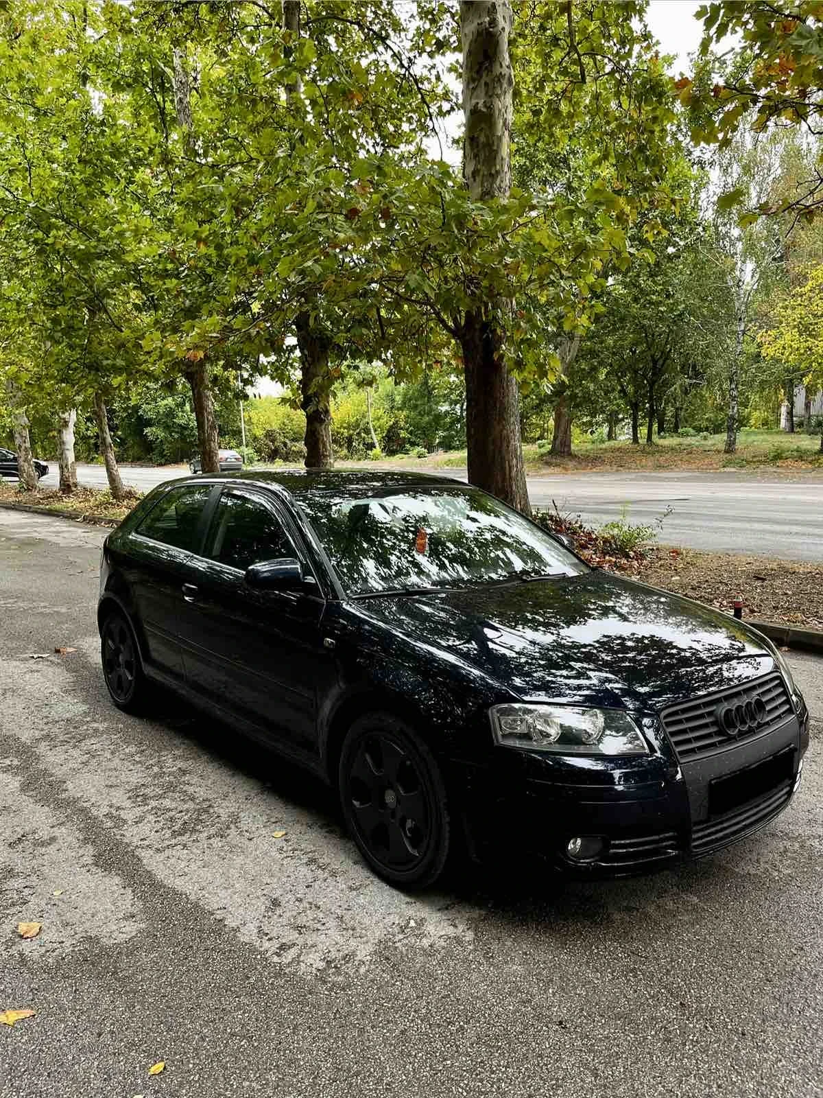 Audi A3  - изображение 6