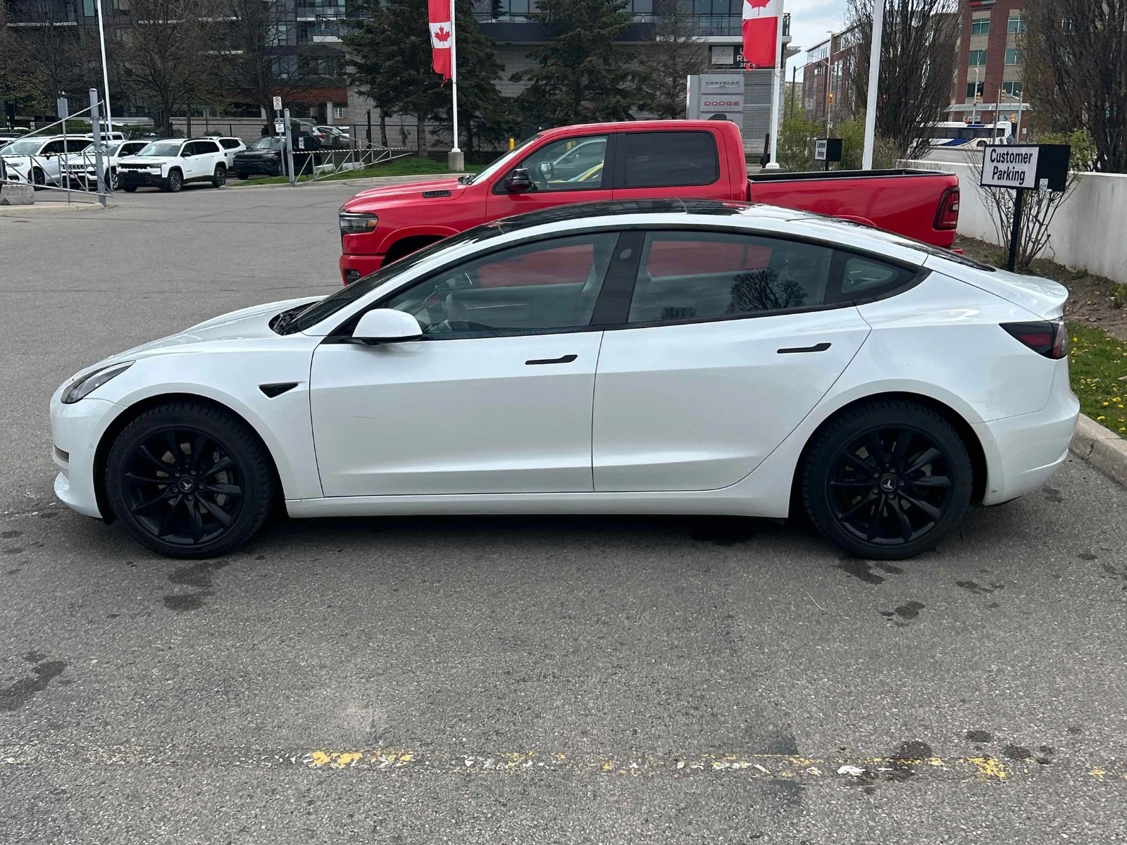 Tesla Model 3 RWD/Standard Range Plus, снимка 3 - Автомобили и джипове - 54494697