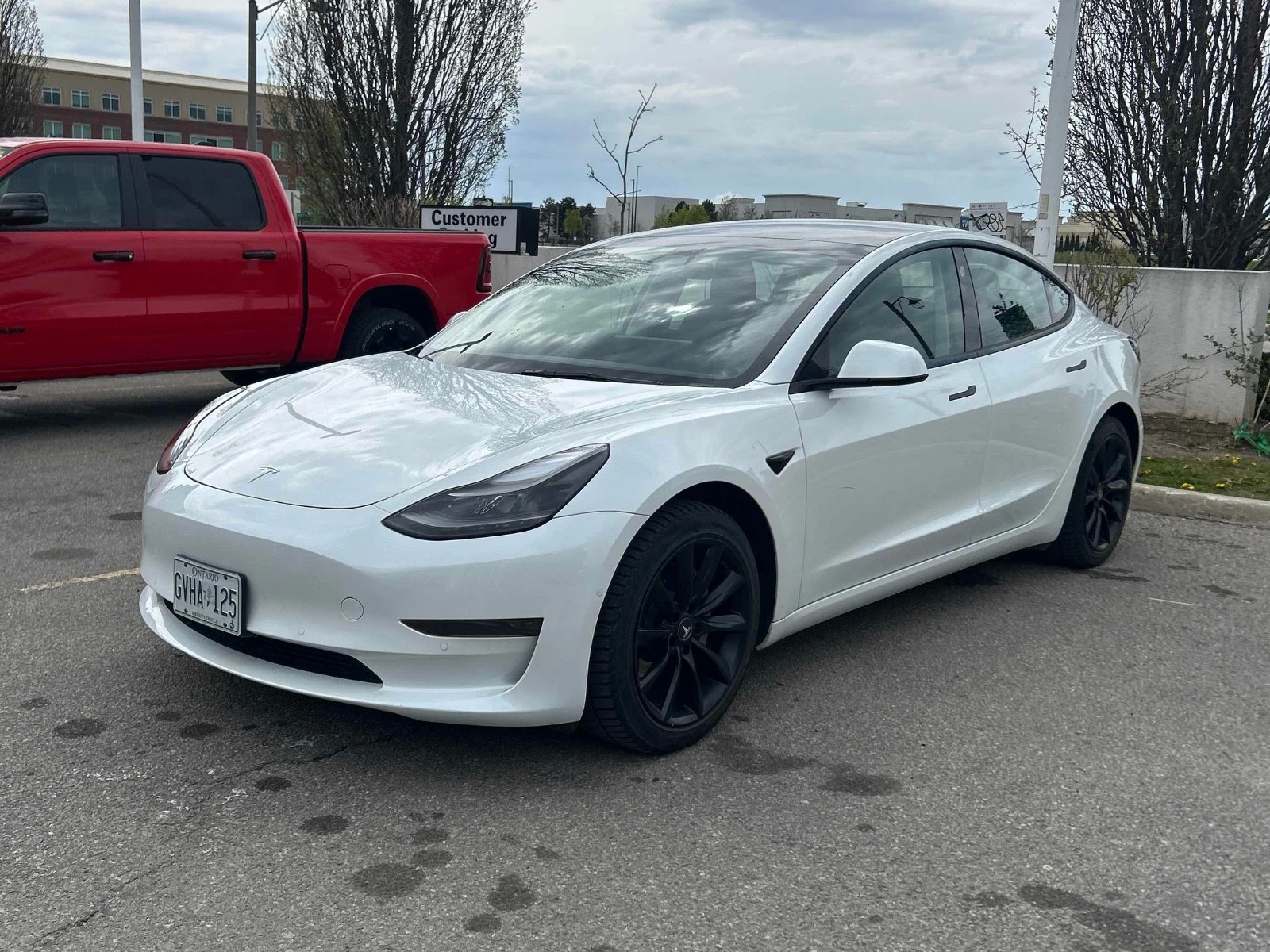 Tesla Model 3 RWD/Standard Range Plus
