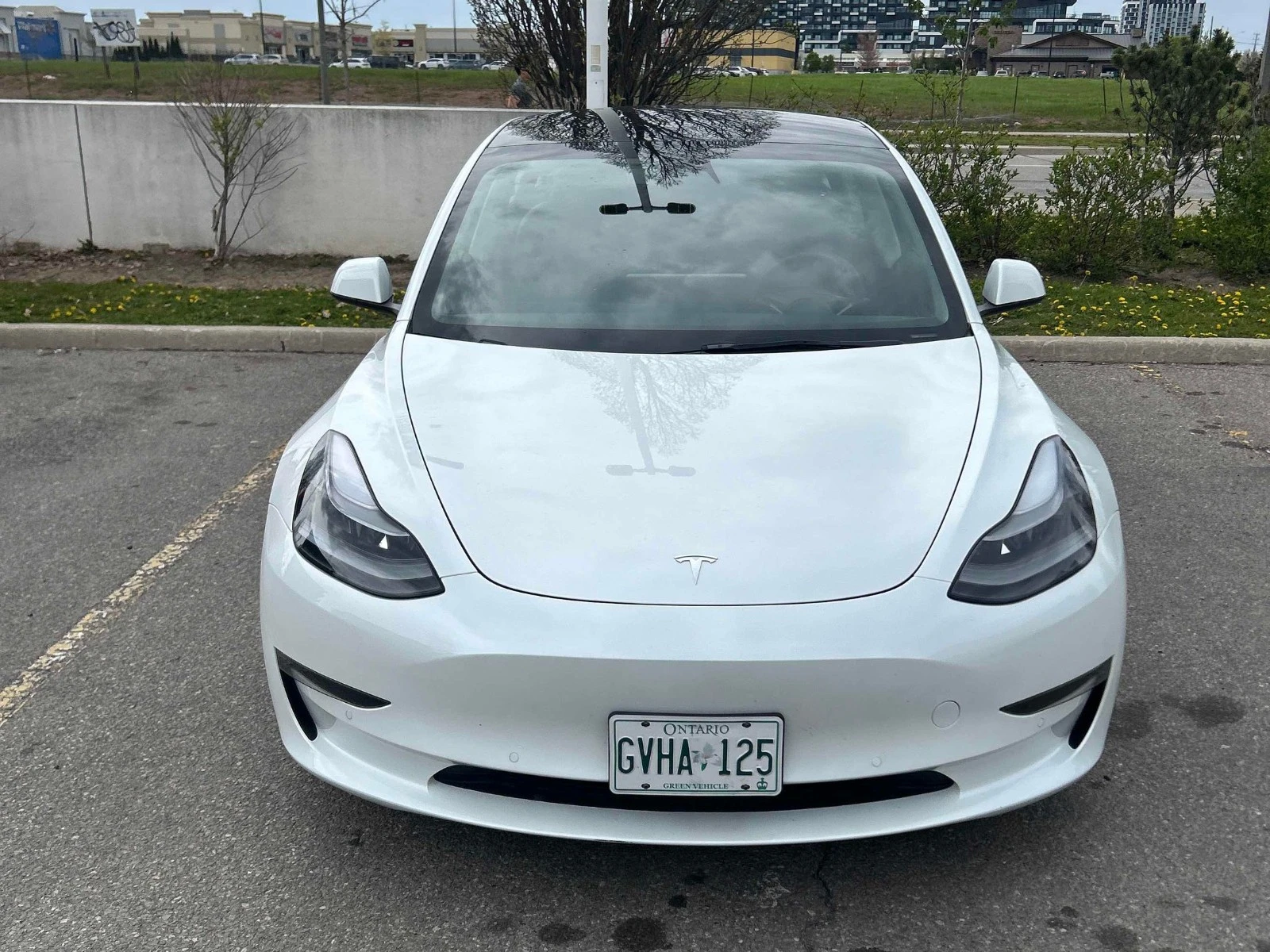 Tesla Model 3 RWD/Standard Range Plus, снимка 2 - Автомобили и джипове - 54494697