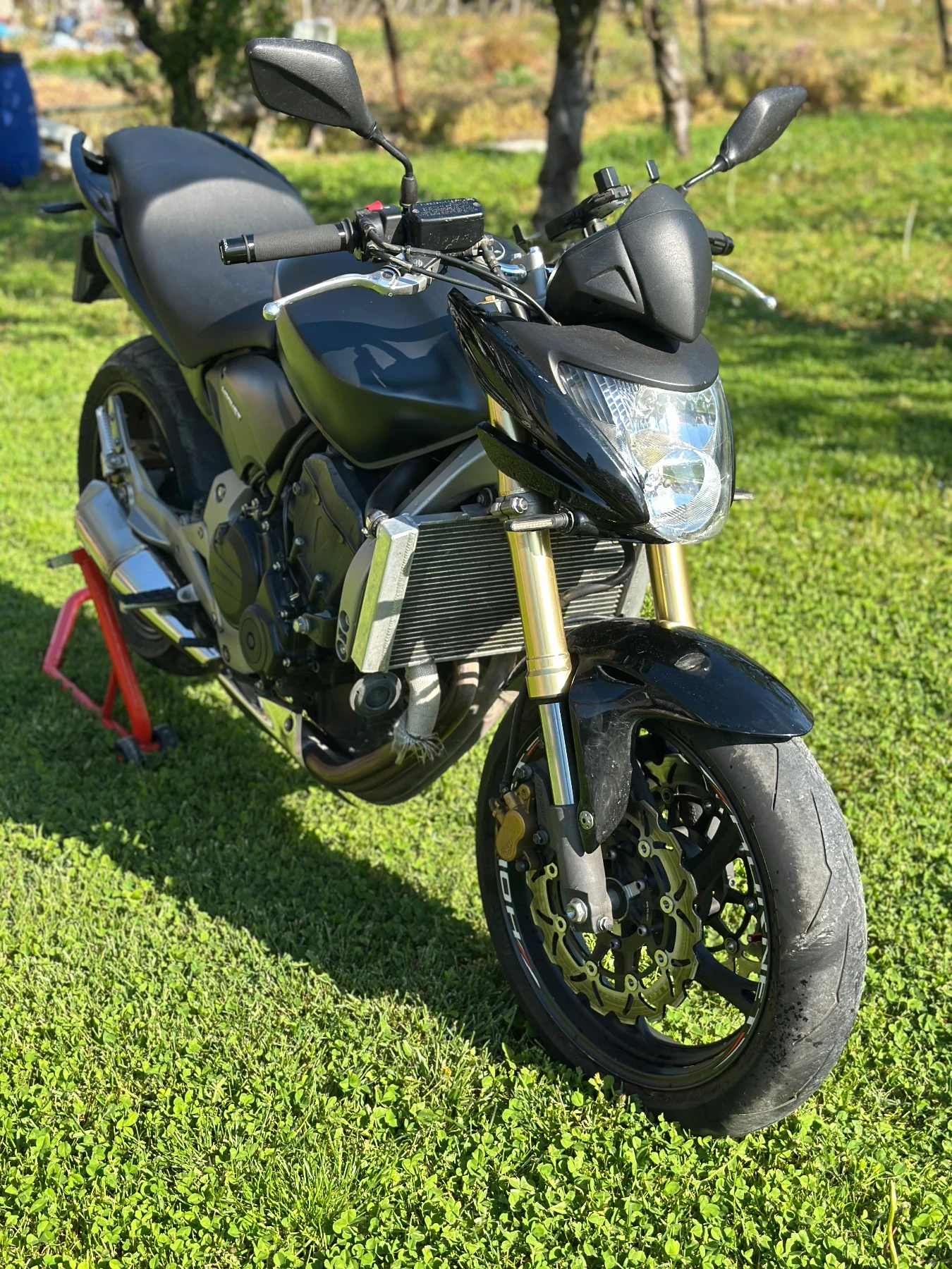 Honda Hornet