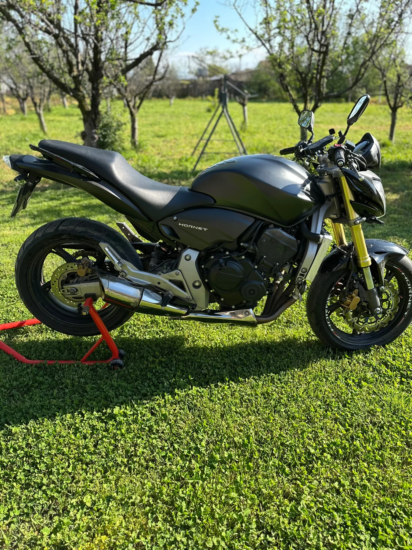 Honda Hornet, снимка 2 - Мотоциклети и мототехника - 54317662