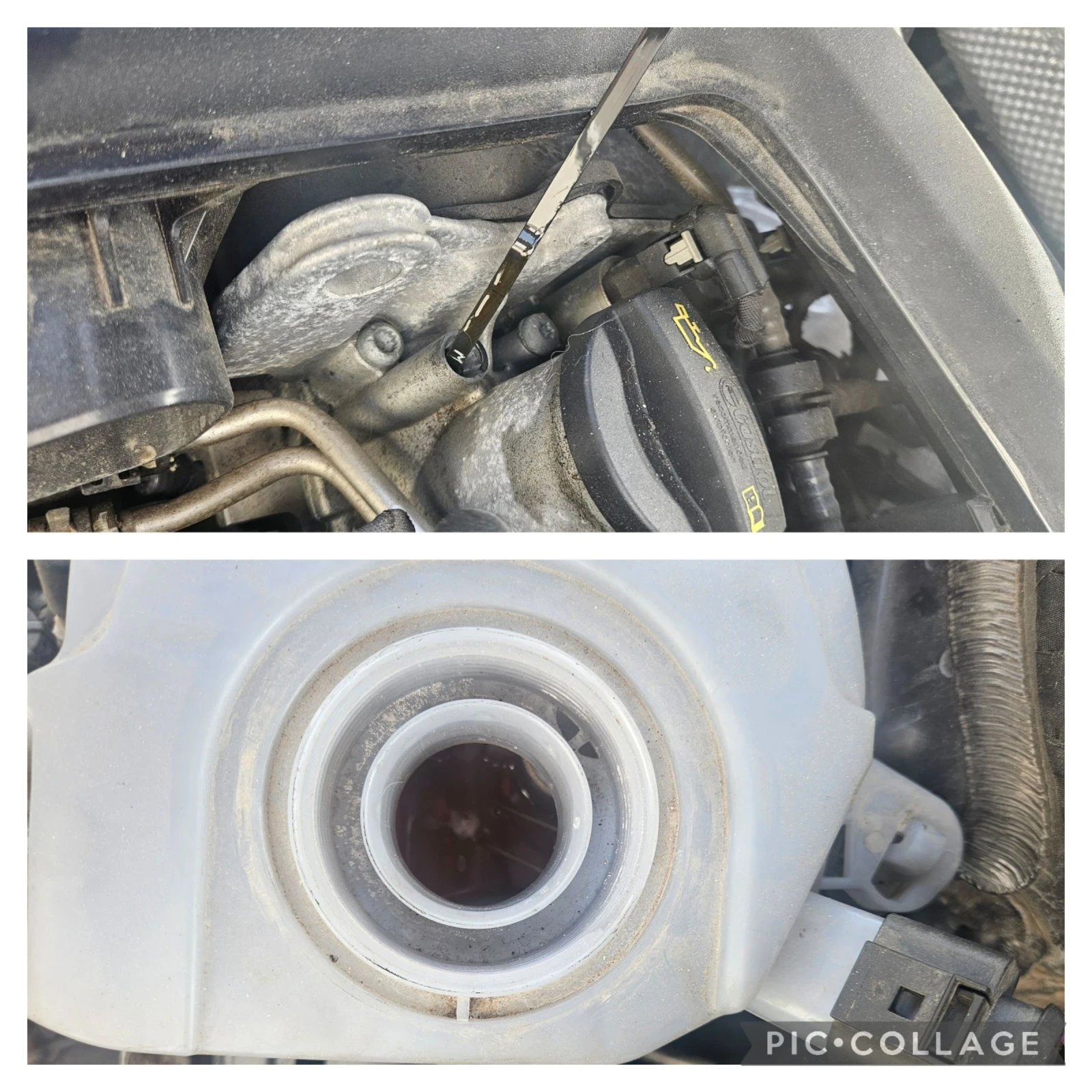 VW Polo  ,     | Mobile.bg   16