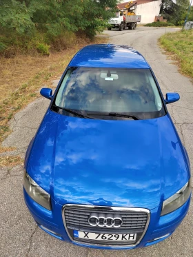 Audi A3 8P 1.9 TDI 105 К.С., снимка 9