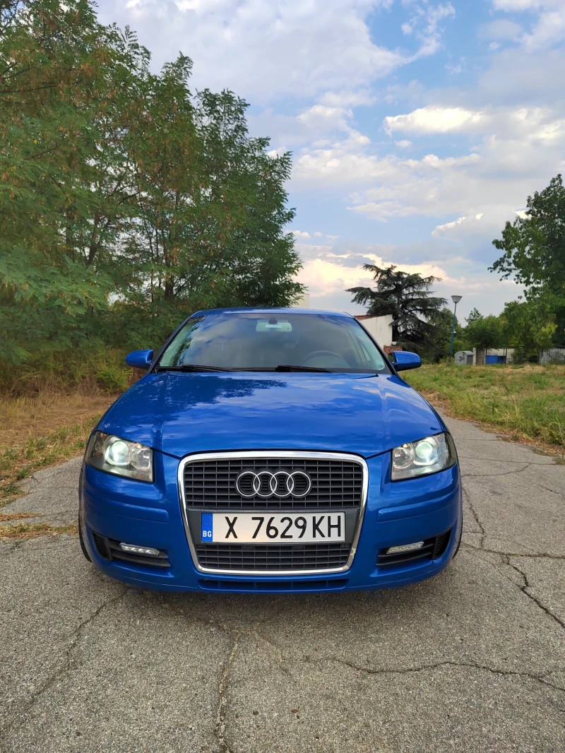 Audi A3 8P 1.9 TDI 105 К.С., снимка 1 - Автомобили и джипове - 47766713