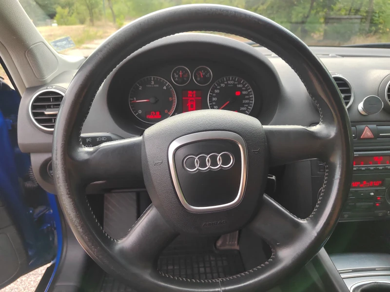 Audi A3 8P 1.9 TDI 105 К.С., снимка 13 - Автомобили и джипове - 47766713