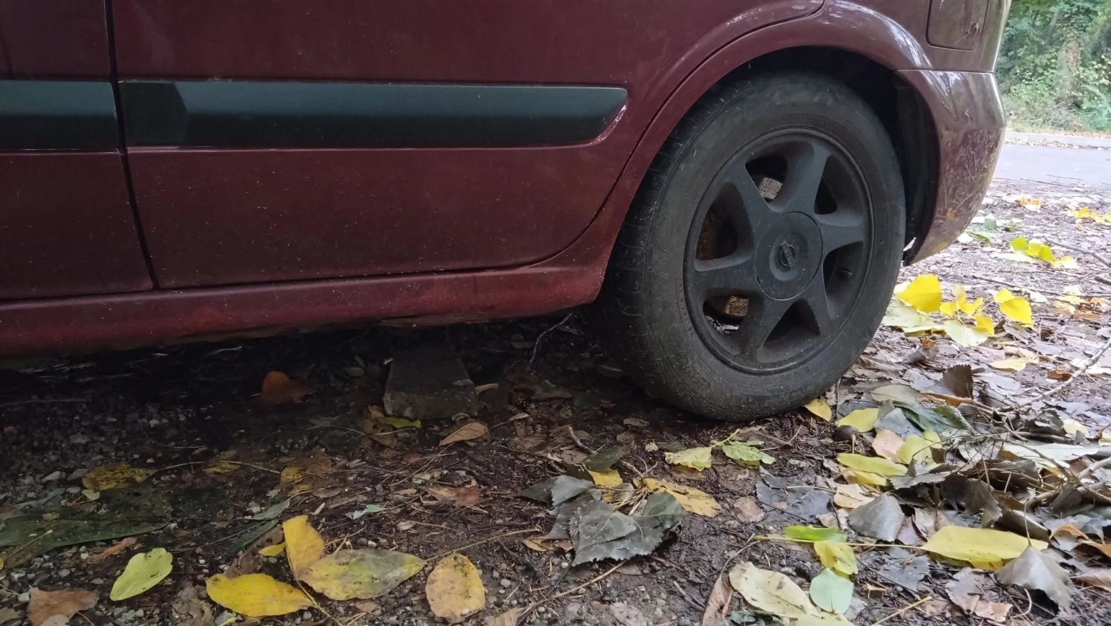 Nissan Almera N16 | Mobile.bg   13