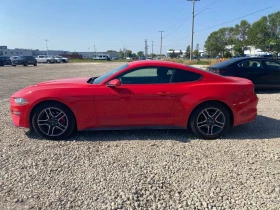 Ford Mustang * EcoBoost Fastback * CARFAX *    | Mobile.bg    2