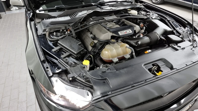 Ford Mustang GT 5.0 autogeorge.com, снимка 6 - Автомобили и джипове - 52400037