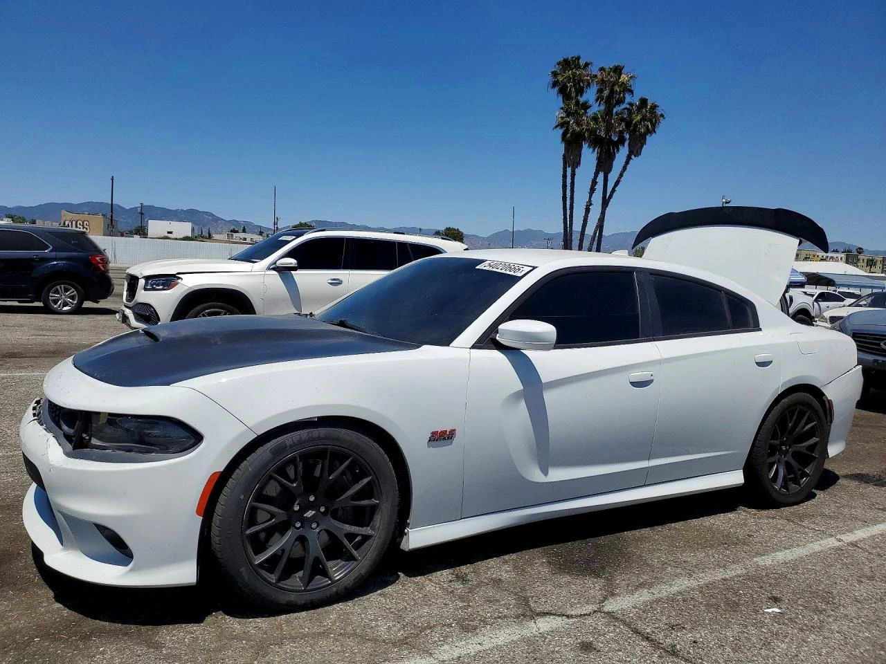 Dodge Charger 6.4 V8