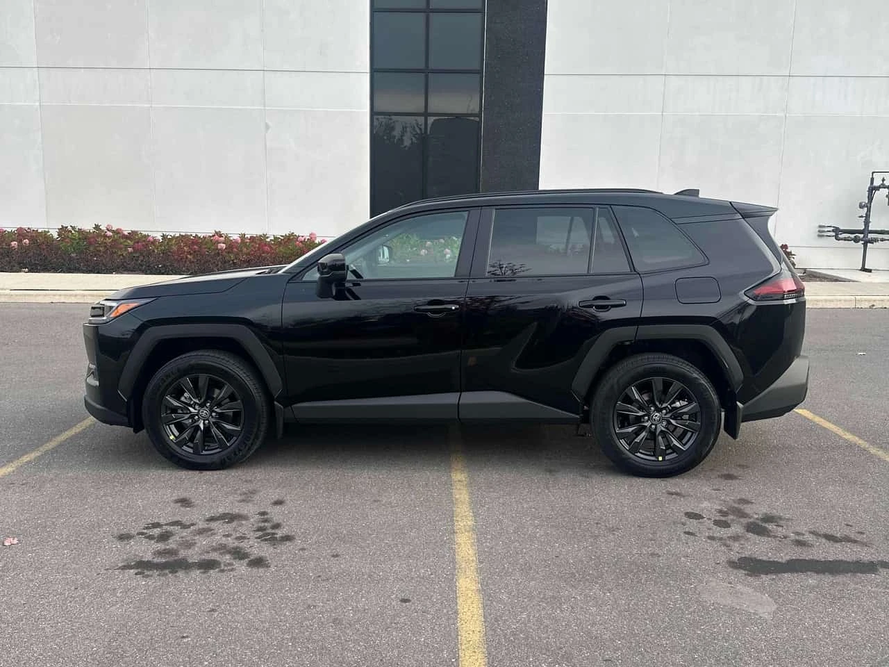 Toyota Rav4 * AWD * CARFAX * ����� �� ����������� | Mobile.bg � ����������� 2