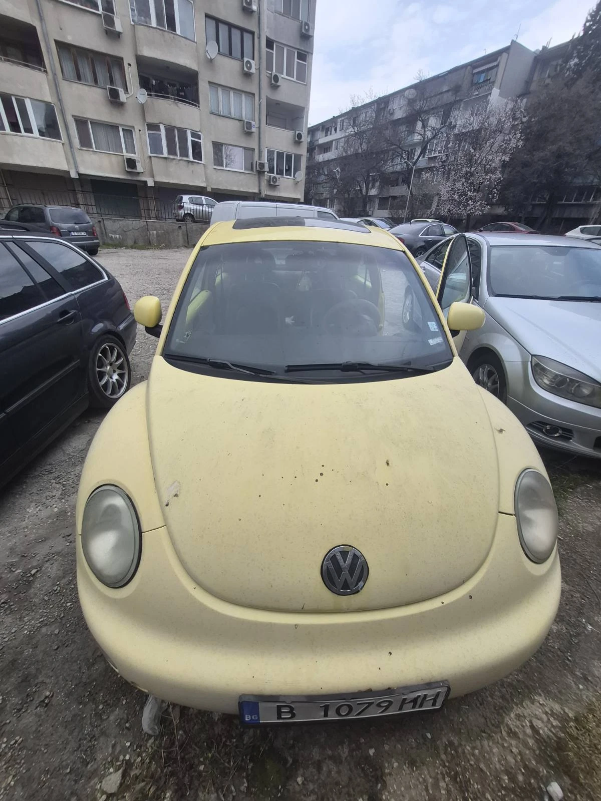 VW Beetle