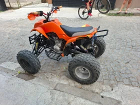 Bashan BS, снимка 2