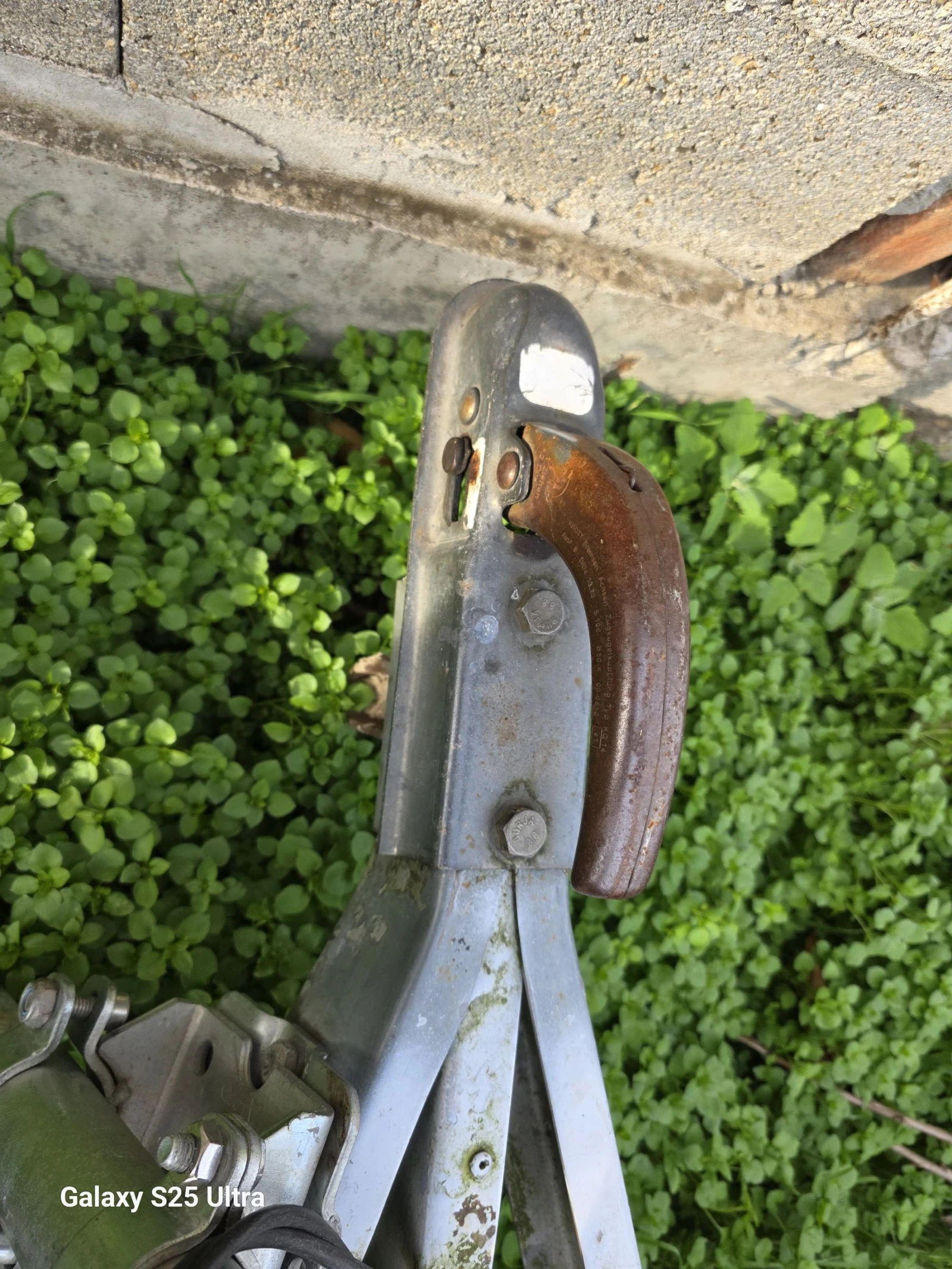   Algema Bockmann | Mobile.bg   4