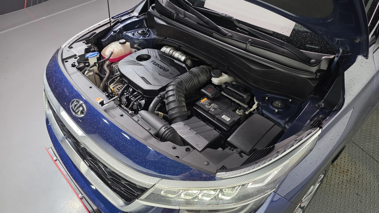 Kia Seltos 1.6 TGDI / SIGNATURE / ���� ����� ! | Mobile.bg � ����������� 6
