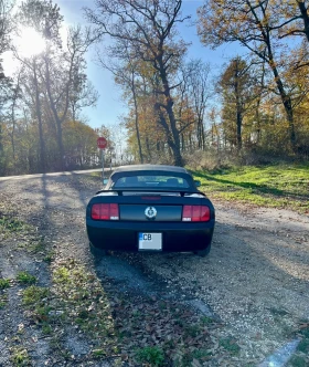 Ford Mustang 4.0 V6 Deluxe LPG Carfax, снимка 5