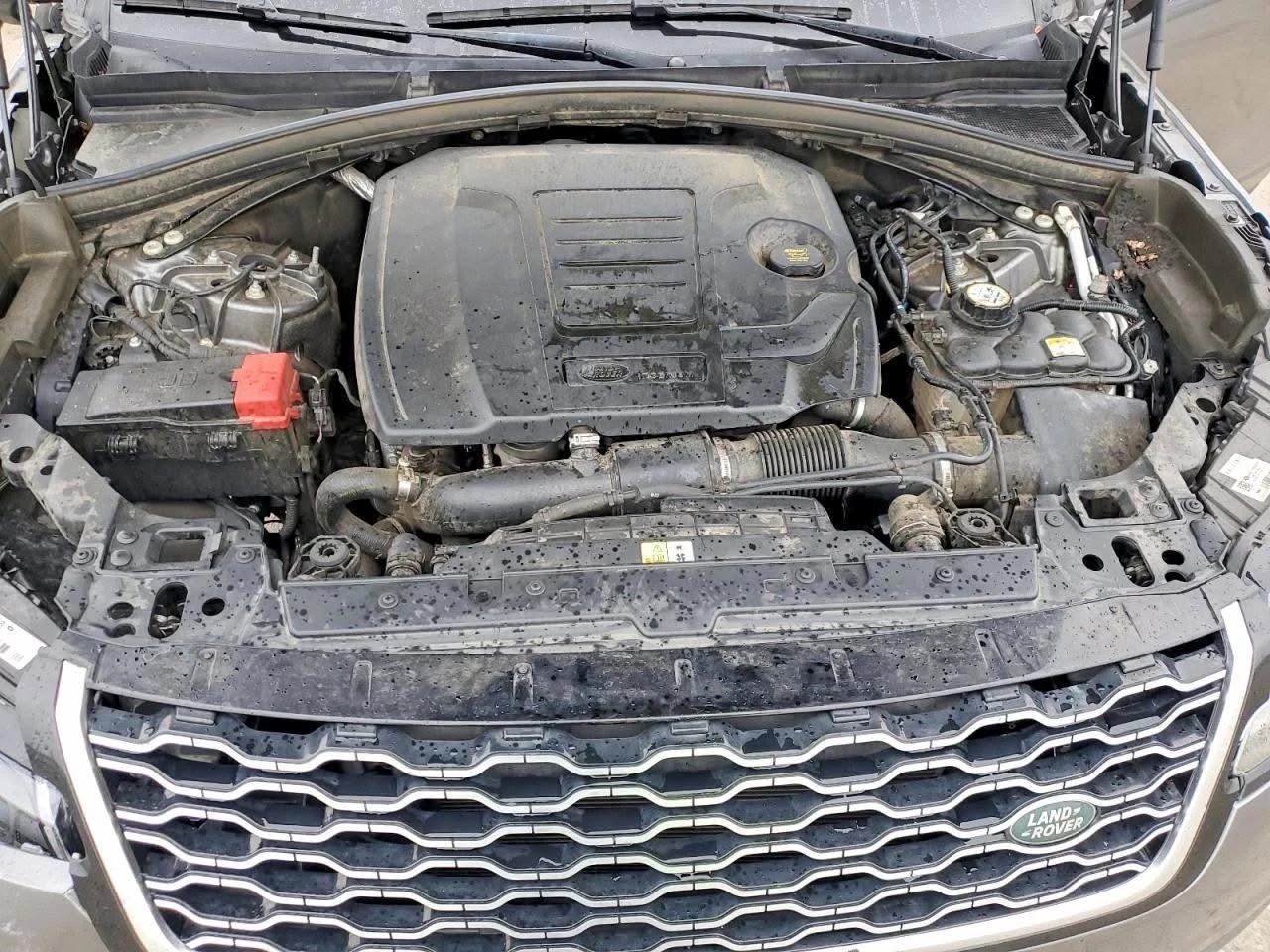 Land Rover Range Rover Velar | ���� �� �������� |  | Mobile.bg � ����������� 11