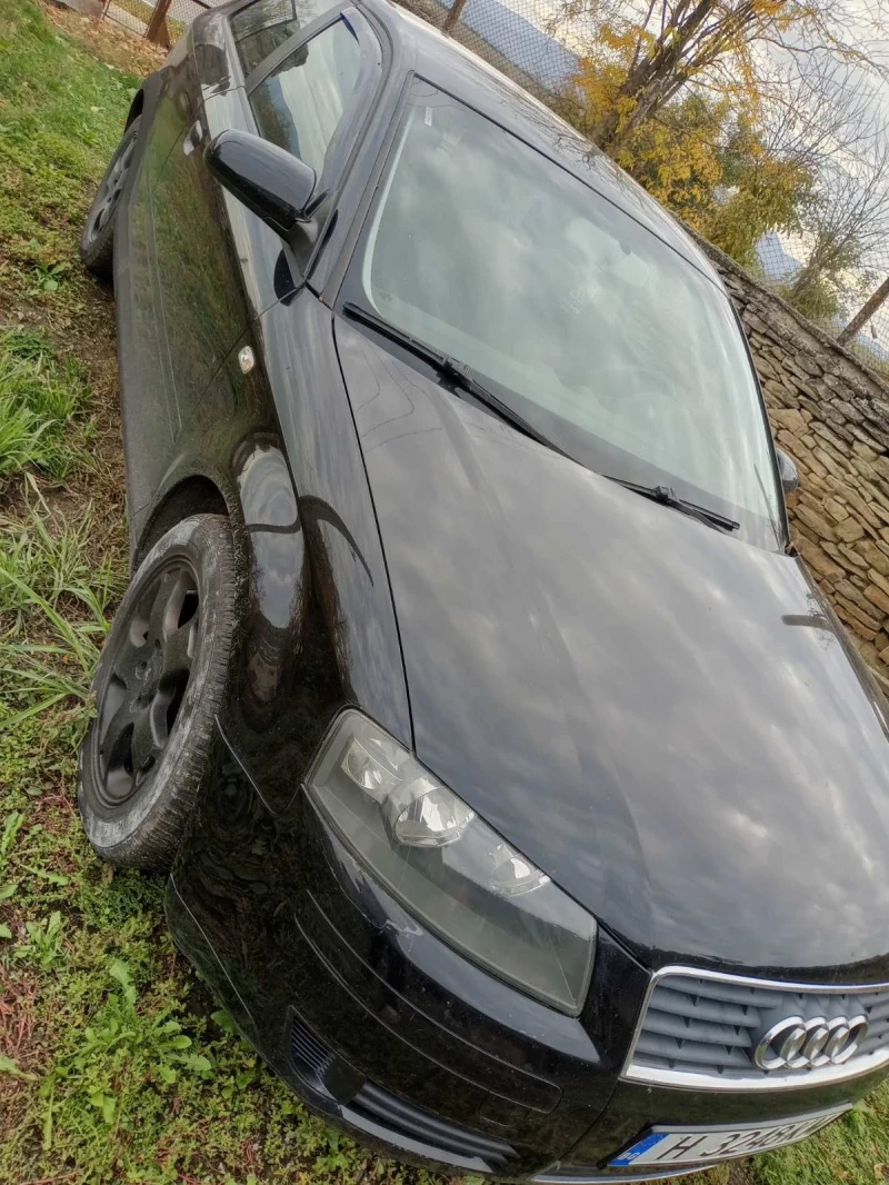 Audi A3 Хечбек