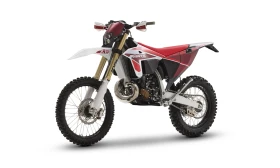     Fantic XE 310F