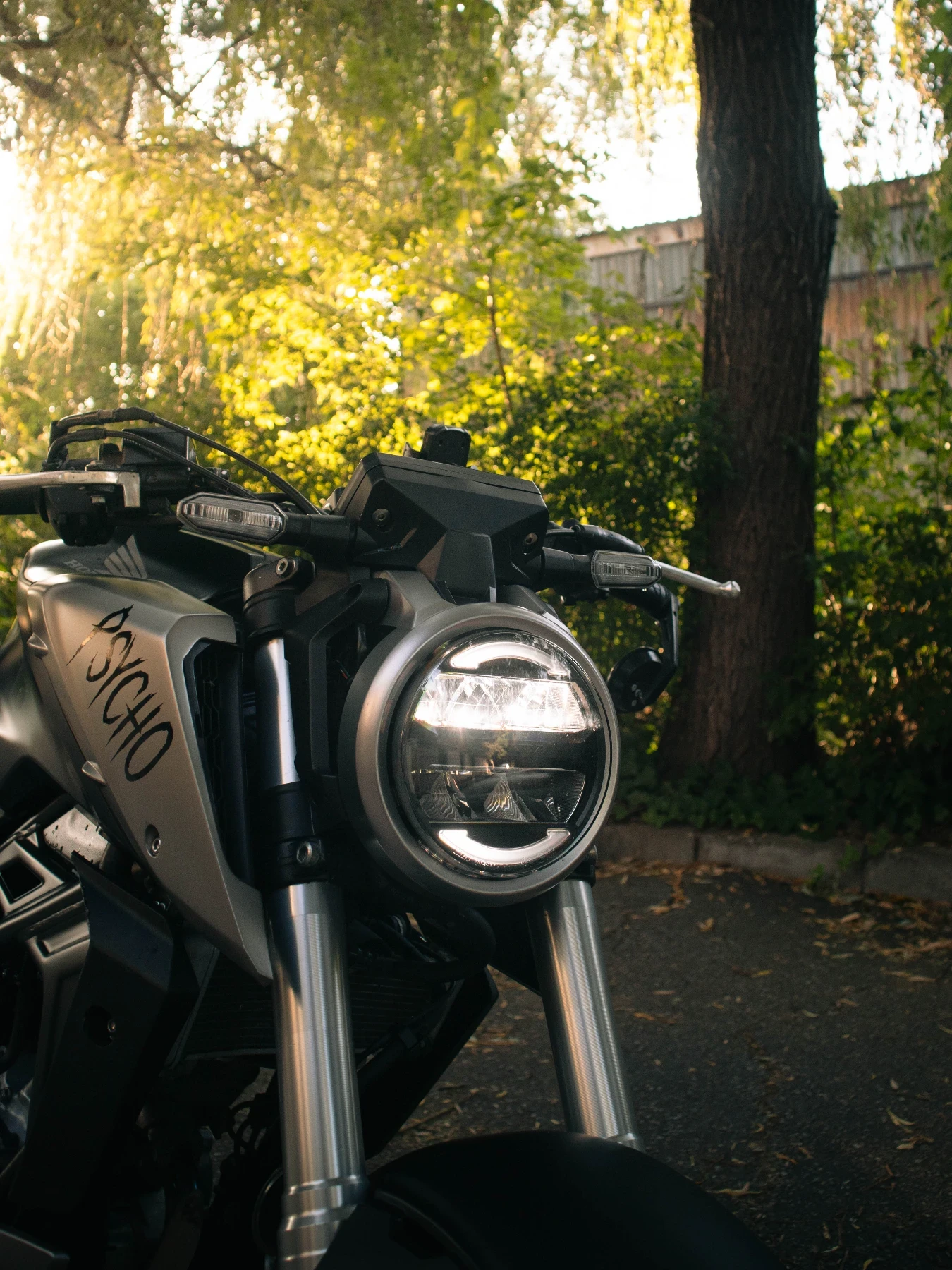 Honda Cb 125r, снимка 5 - Мотоциклети и мототехника - 55378152