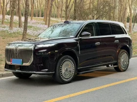 Voyah Free 9L 2026, снимка 1