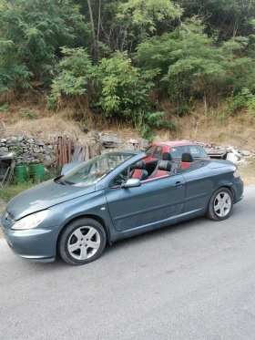 Peugeot 307, снимка 1
