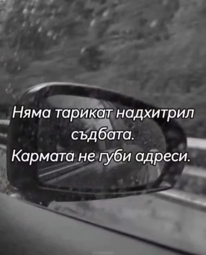 BMW 330, снимка 4 - Автомобили и джипове - 52931704