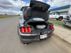 Ford Mustang  Shelby / RECARO /  ����������  | Mobile.bg � ����� ������ 13