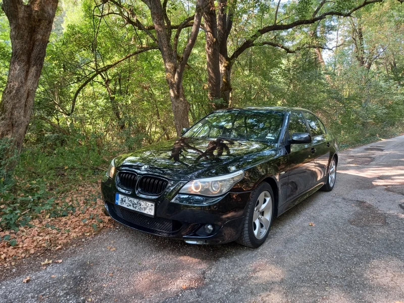 BMW 530, снимка 11 - Автомобили и джипове - 47211620