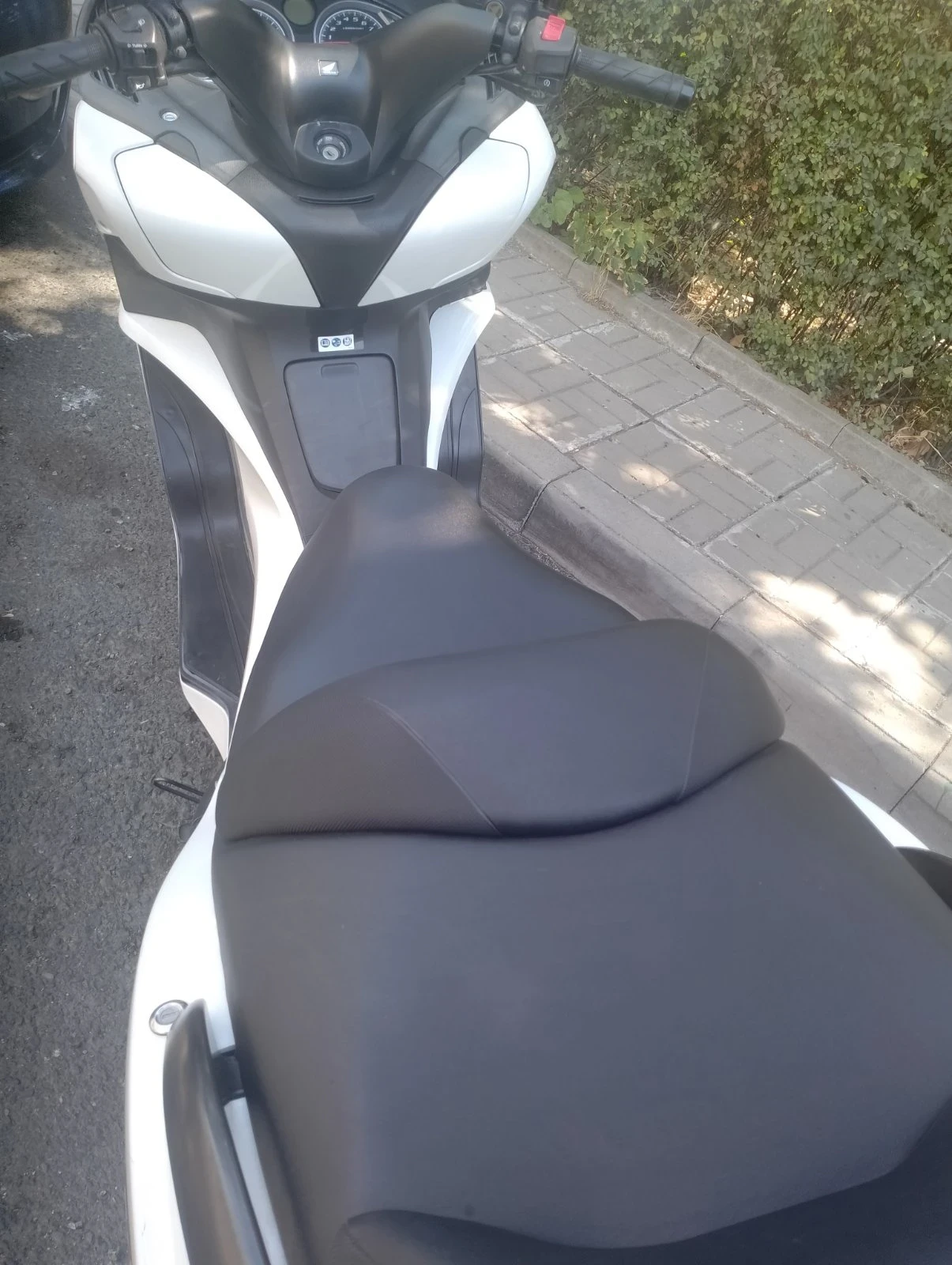 Honda Silver Wing  - изображение 9