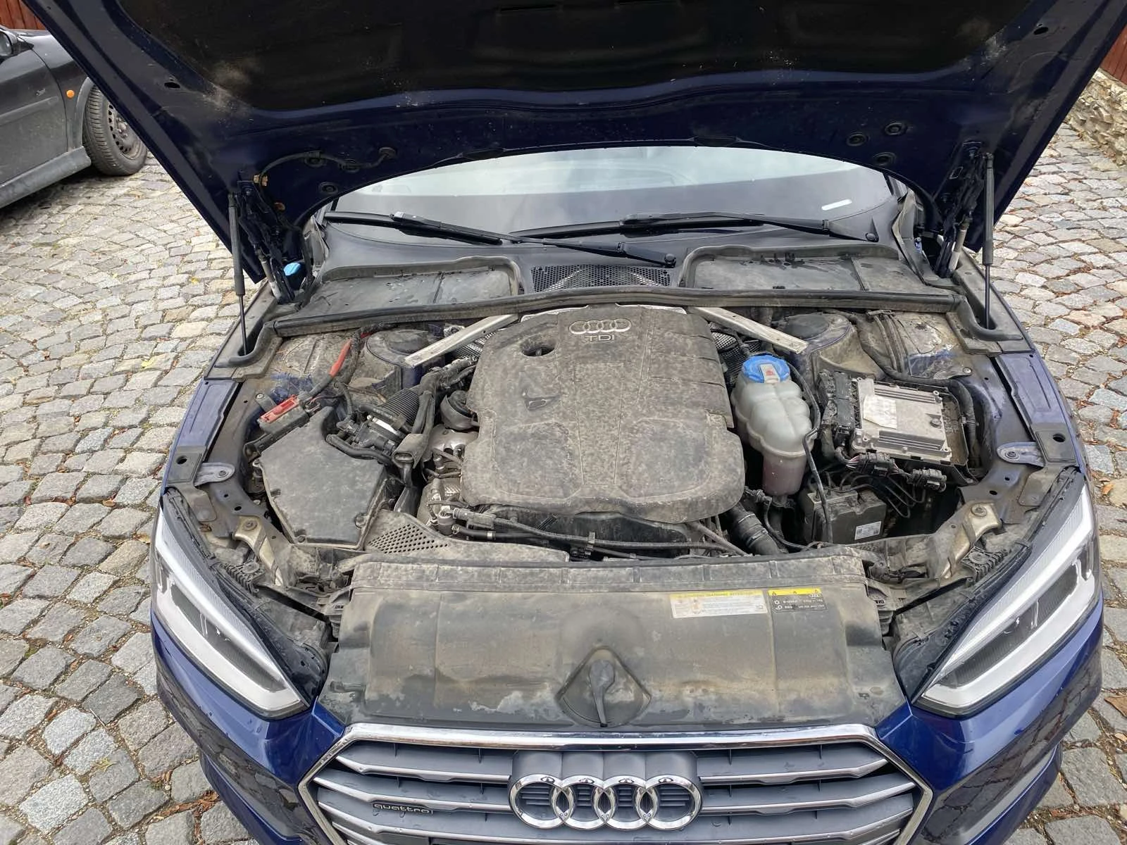 Audi A4 QUATTRO  AUDI  | Mobile.bg   14