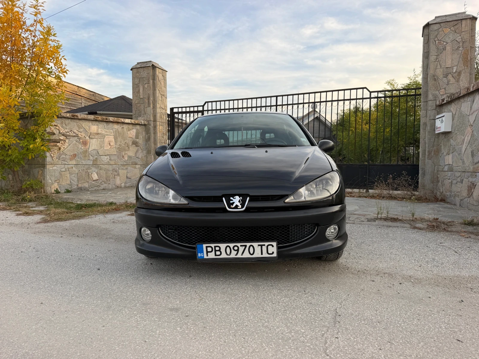 Peugeot 206, снимка 2 - Автомобили и джипове - 56584017