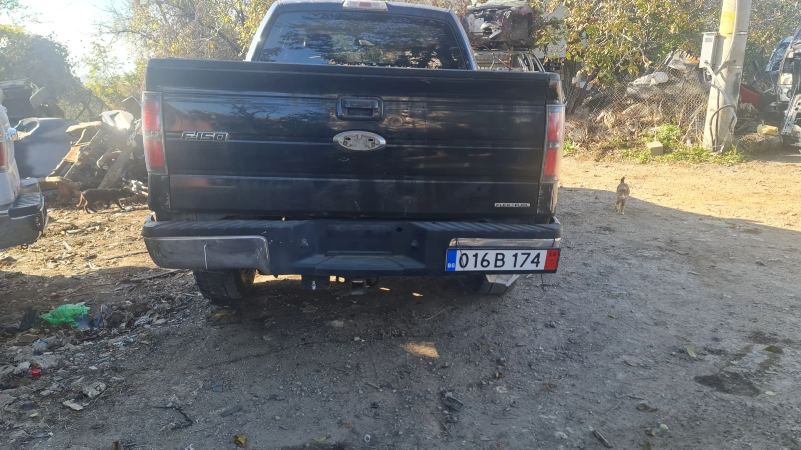 Ford F150 5.4 4x4 - изображение 4