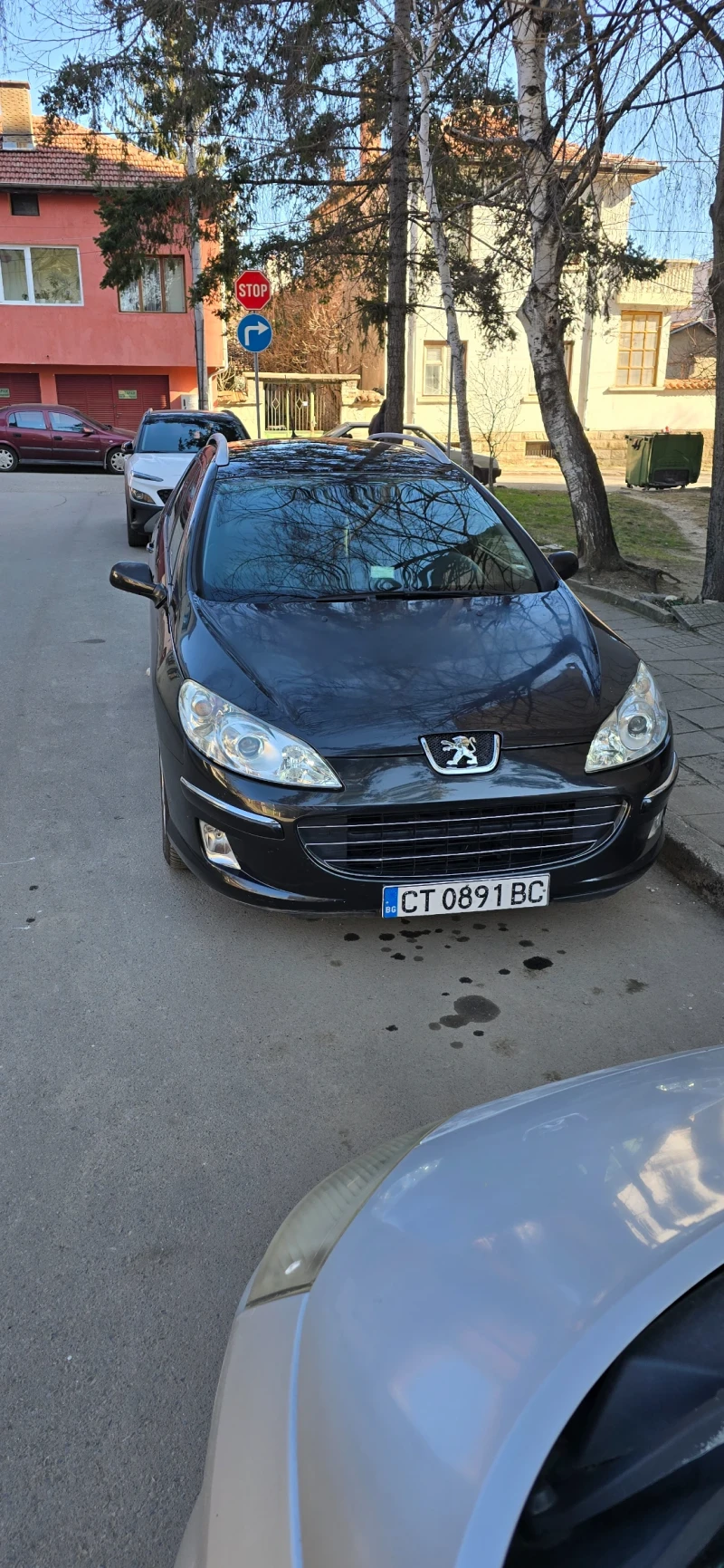 Peugeot 407, снимка 1 - Автомобили и джипове - 49082549